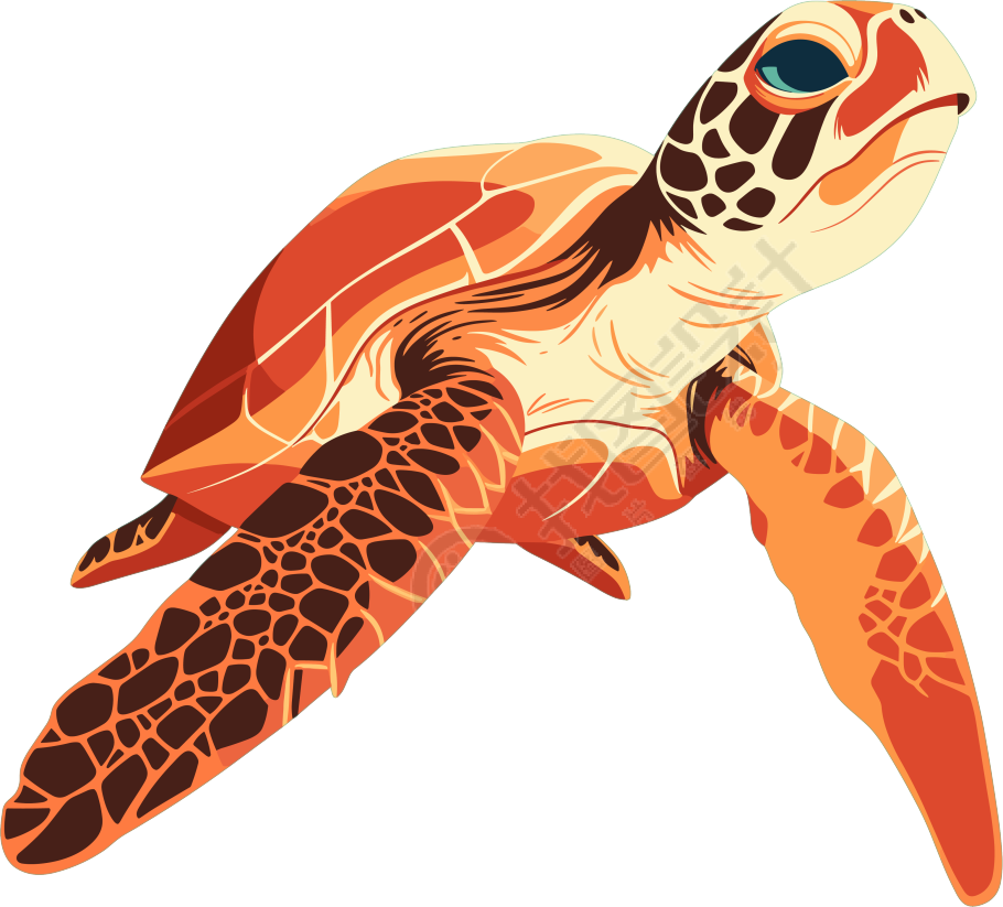 海洋海龟简约插图
