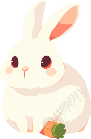 兔子和胡萝卜插画
