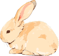 兔子简笔画素材