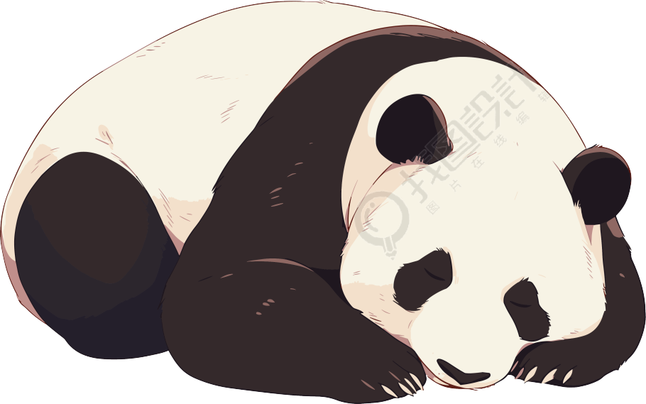 大熊猫黑白可爱插画