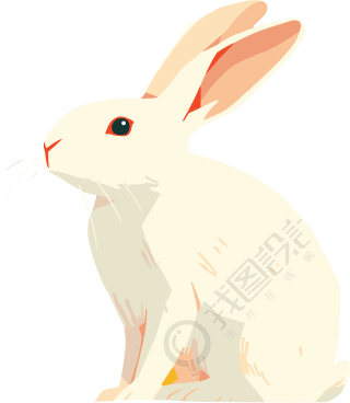 兔子高清插画素材