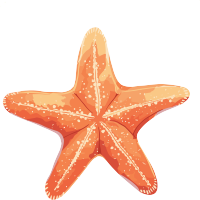 海洋海星简约元素
