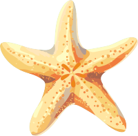 海洋海星素材
