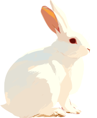 兔子手绘插图