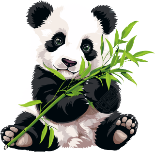 大熊猫吃竹子插画