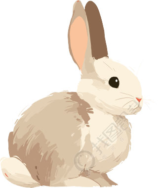 兔子简笔画插图