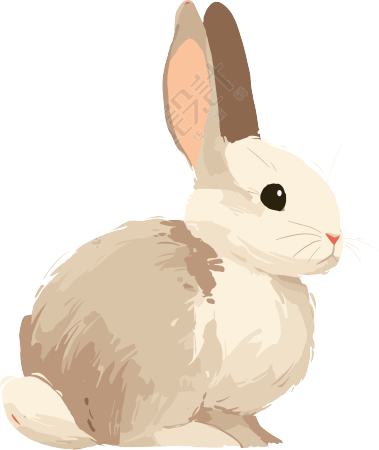 兔子简笔画插图