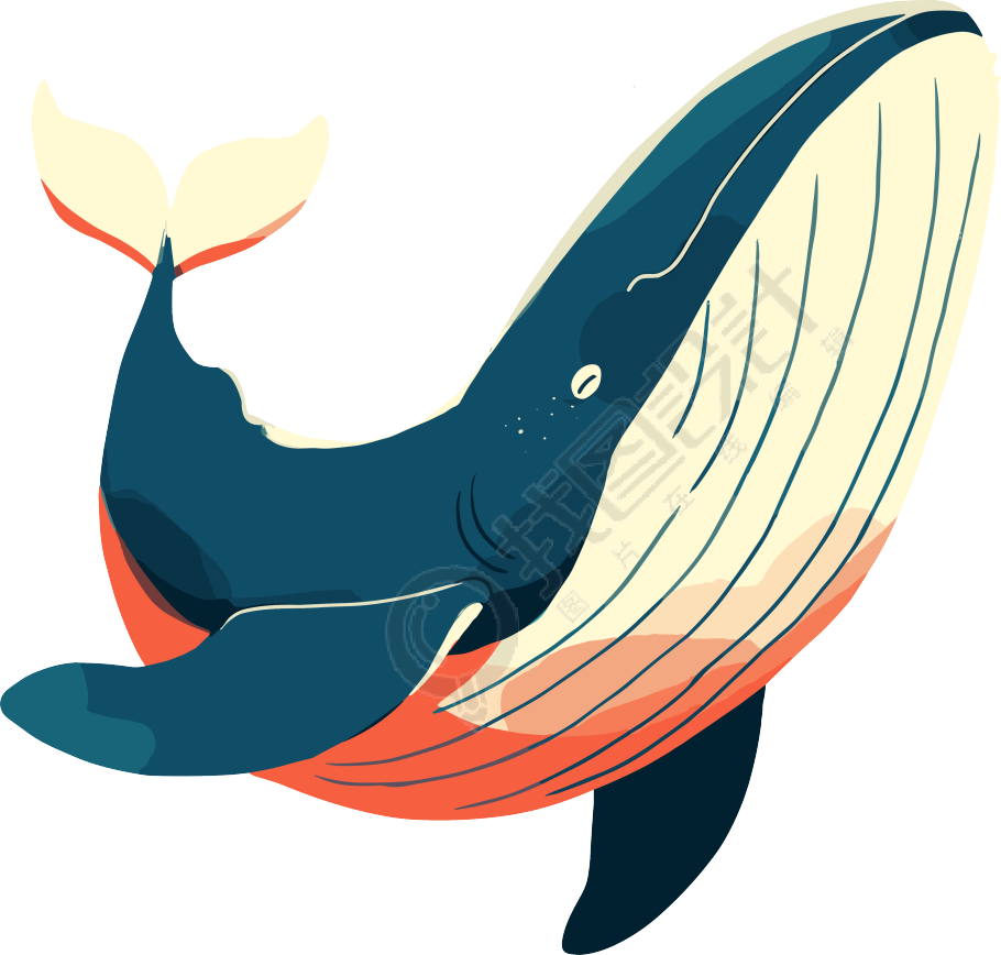 海洋鲸鱼插图