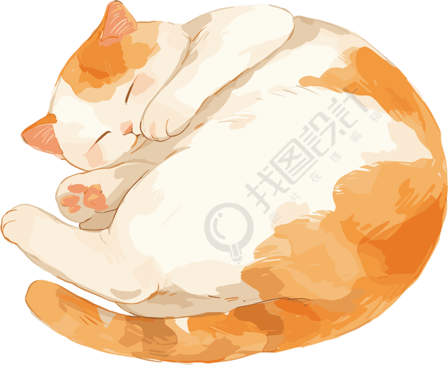 睡觉的猫咪插画