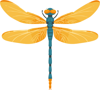 昆虫蜻蜓扁平插画