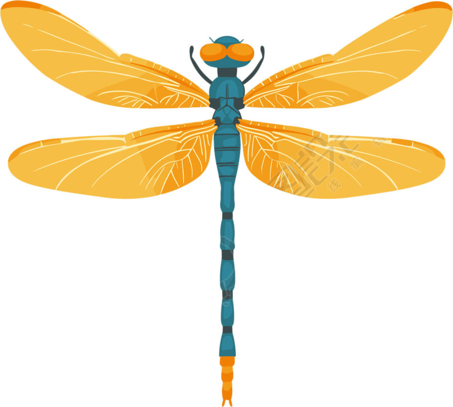 昆虫蜻蜓扁平插画
