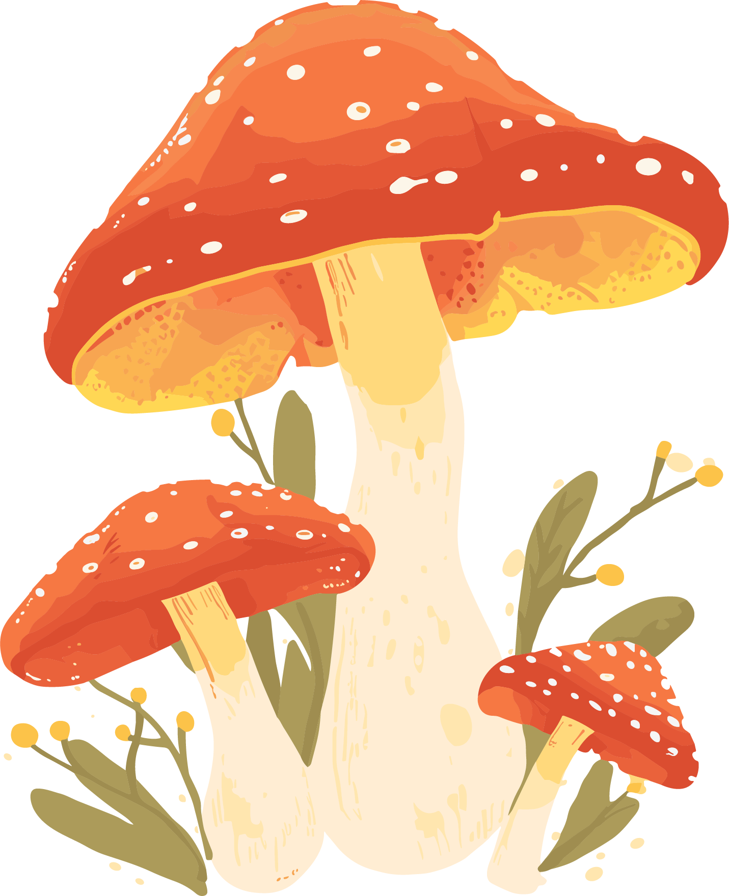 蘑菇透明背景插画