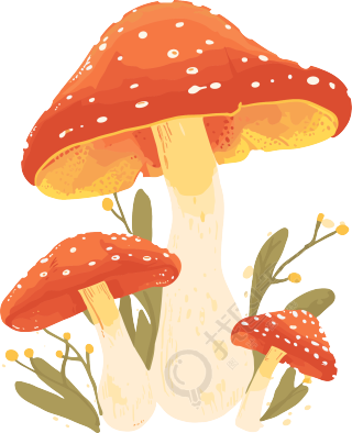 蘑菇透明背景插画
