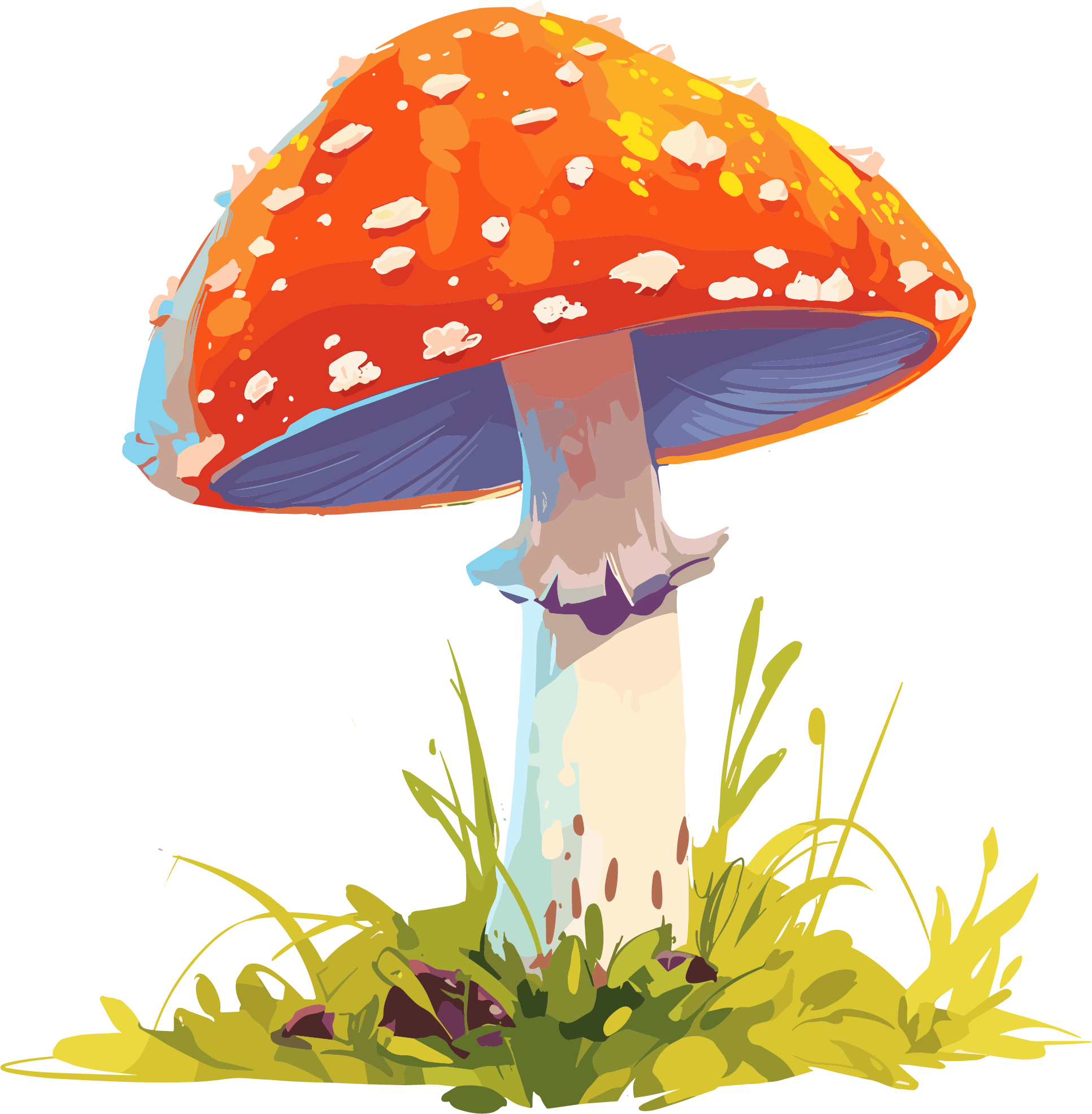蘑菇卡通插图