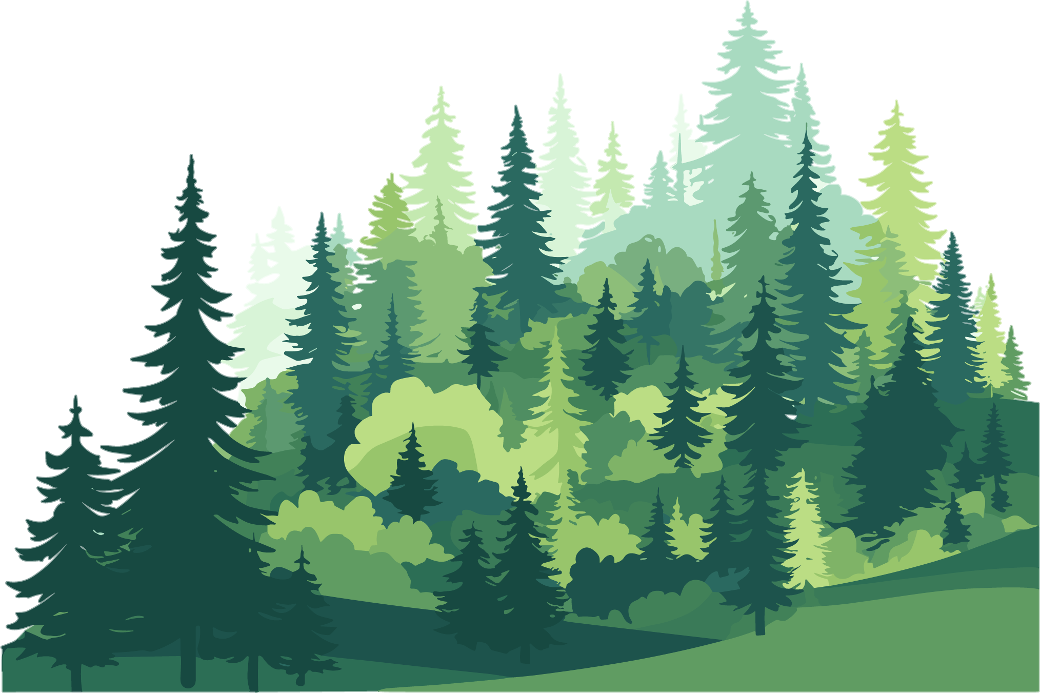森林简洁扁平插图