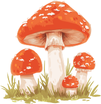 蘑菇高清插画