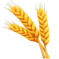 3D小麦穗透明背景元素