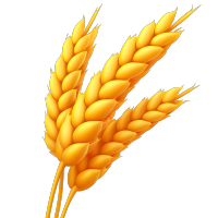 3D小麦穗商用素材