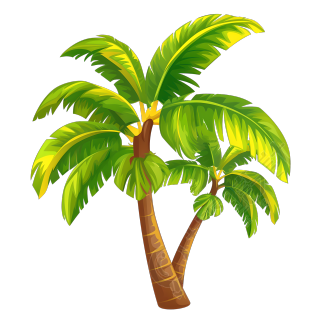 棕榈树PNG图形素材