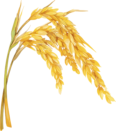 小麦穗芒种插画