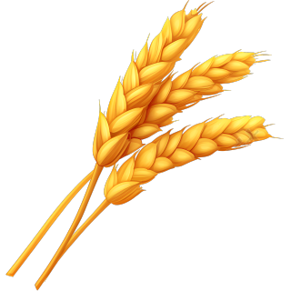 3D小麦穗创意设计元素