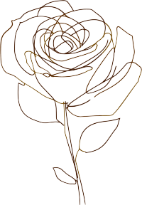 线条植物玫瑰矢量素材