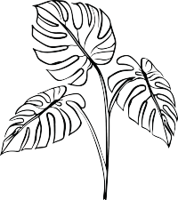 线条植物插画设计元素