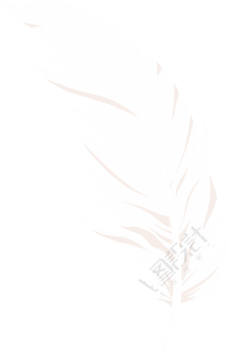 羽毛插图设计素材