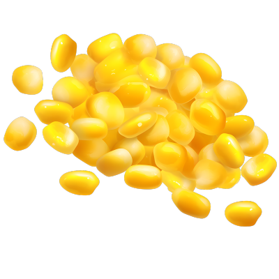 玉米粒图形素材