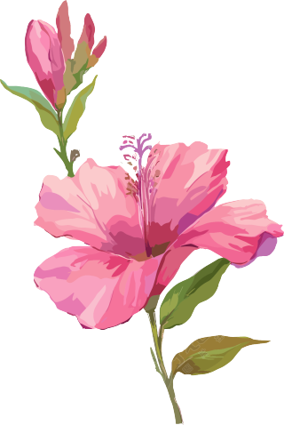紫荆花 (5)
