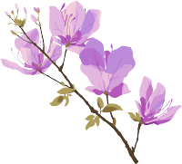 紫荆花创意设计插图