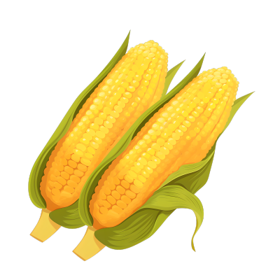 黄色玉米插图