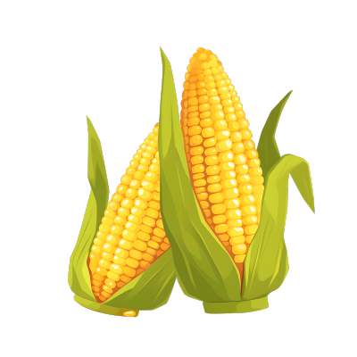 玉米丰收插图
