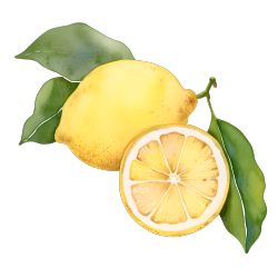 柠檬清新装饰元素