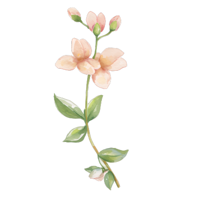 水彩植物粉色小花插图