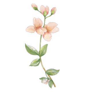 水彩植物粉色小花插图