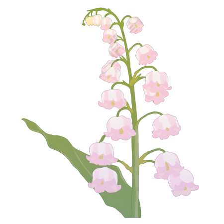水彩植物铃兰花素材