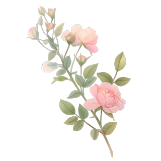 水彩植物玫瑰花装饰素材
