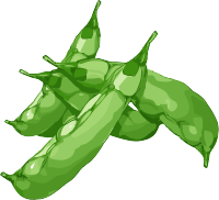 扁豆扁平插画