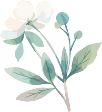 小白花水彩植物插图