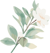 小白花水彩植物元素