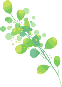 水彩植物绿叶插图