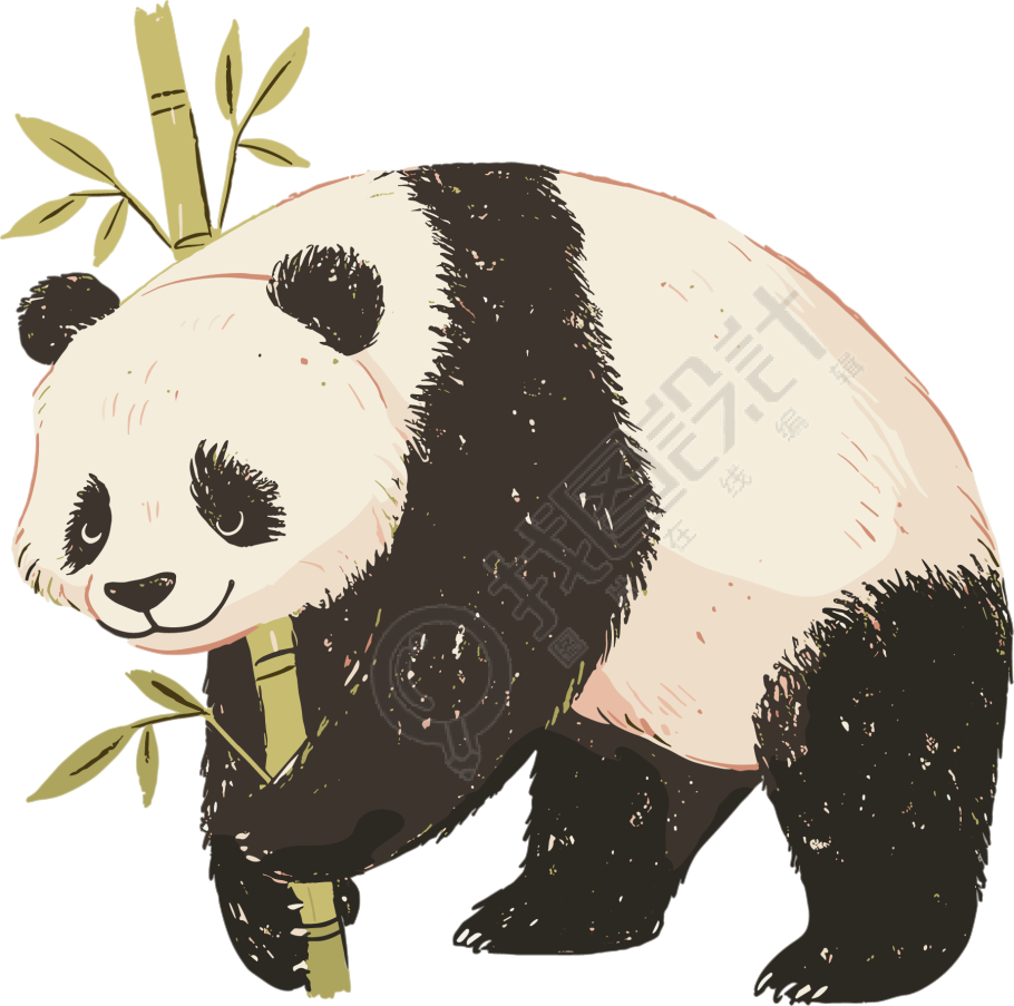 熊猫珍稀动物插画