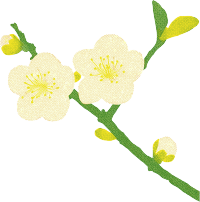 樱花水彩植物插画