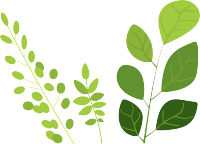 绿叶水彩植物简约风格插画