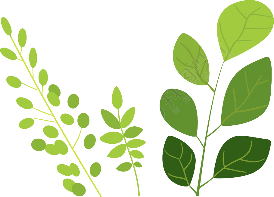 绿叶水彩植物简约风格插画