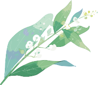 小白花水彩植物元素