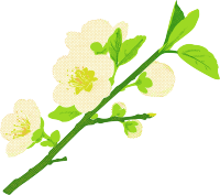樱花水彩植物元素