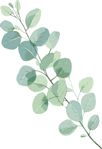 尤加利叶水彩植物插图