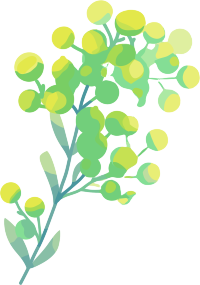 水彩植物创意插画